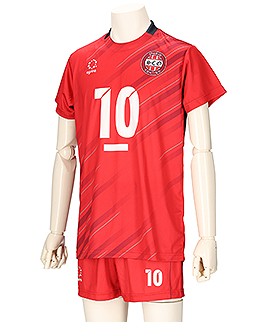 agrina(アグリナ)セミオーダー昇華 バレーボールユニフォーム